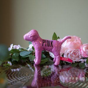 Victoria's Secret shiny pink dog